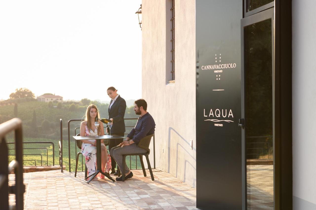 Hotel Laqua Vineyard Terricciola Esterno foto